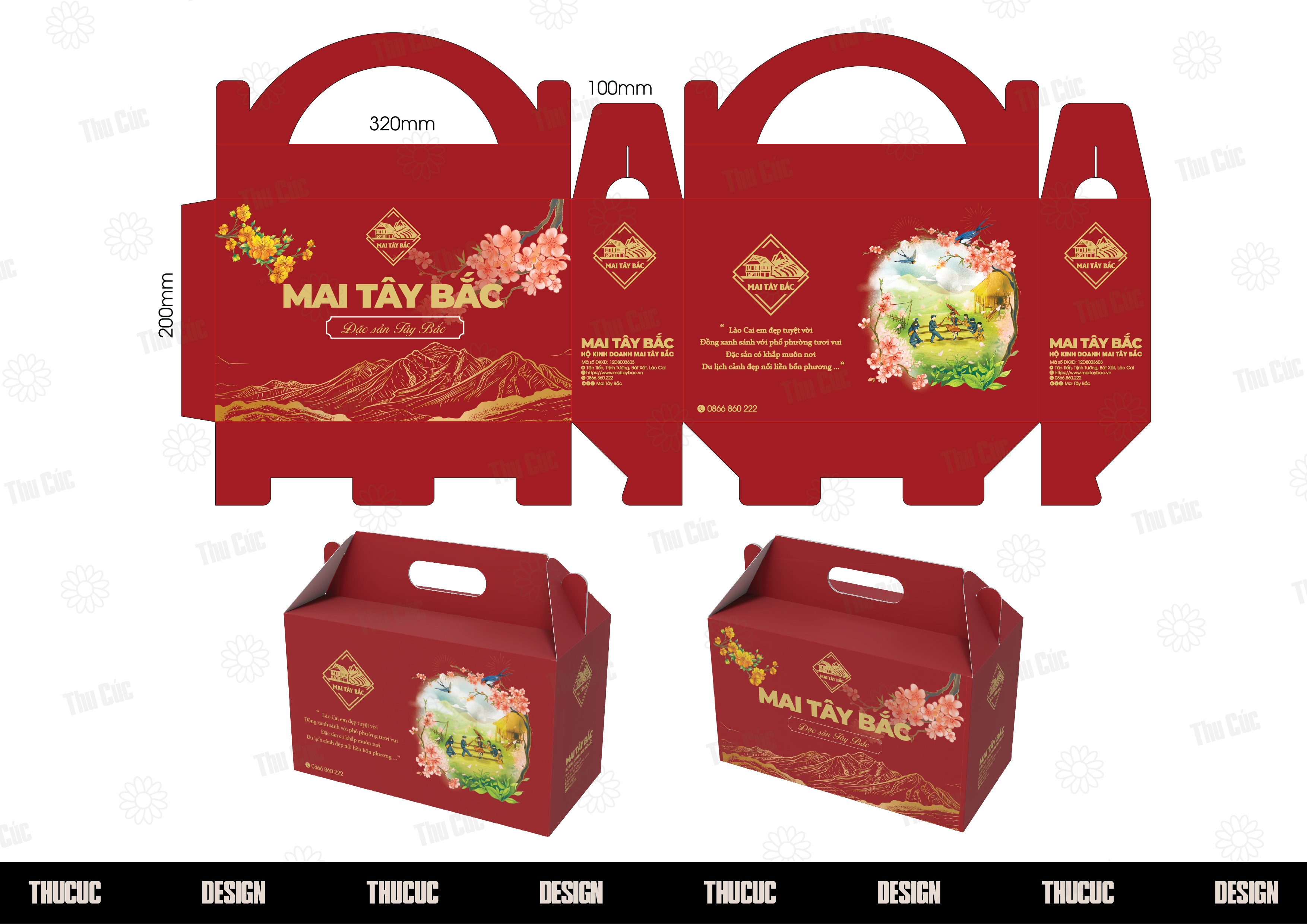 Hộp carton